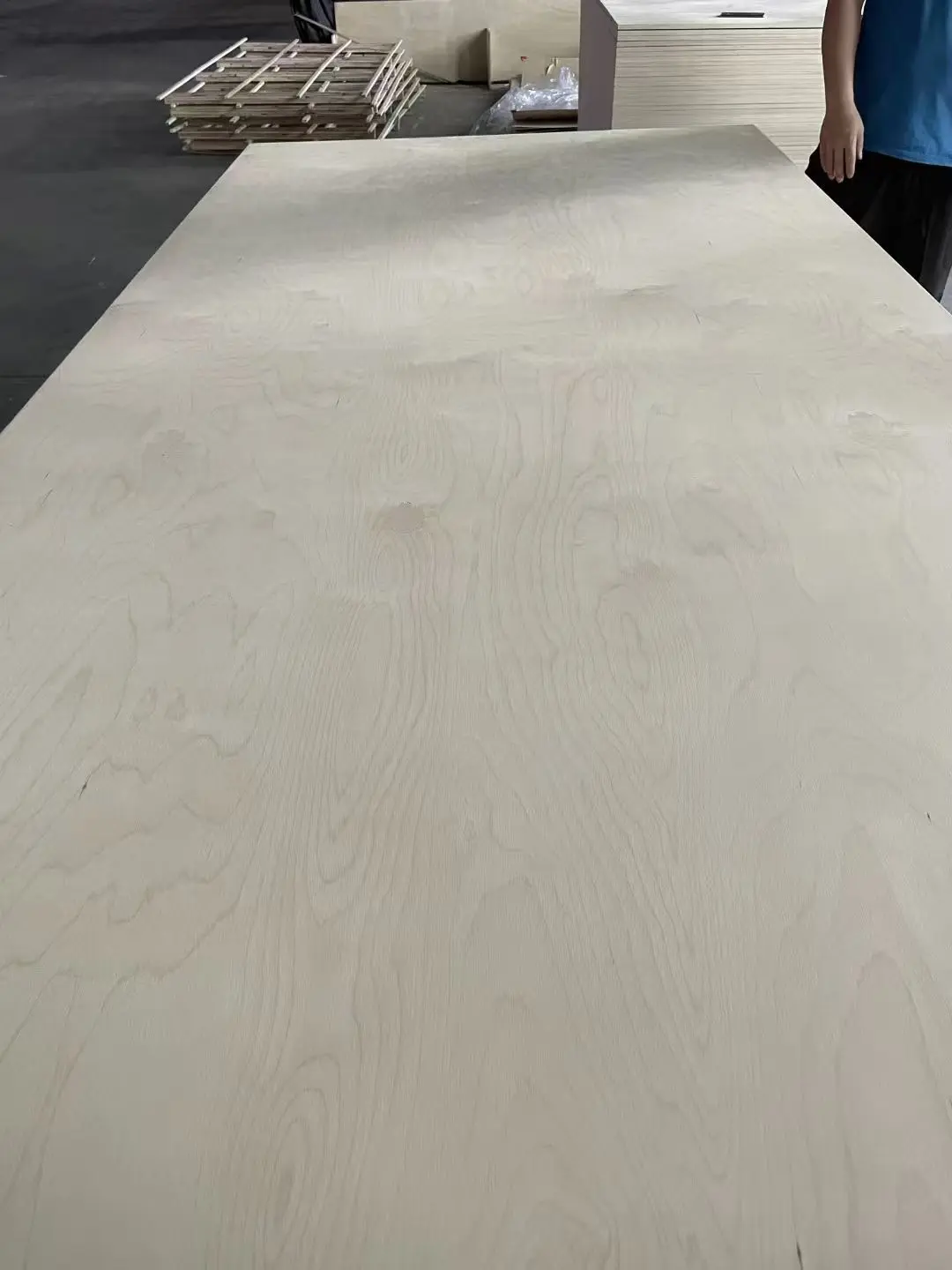 Large birch plywood sheet laid out for face inspection