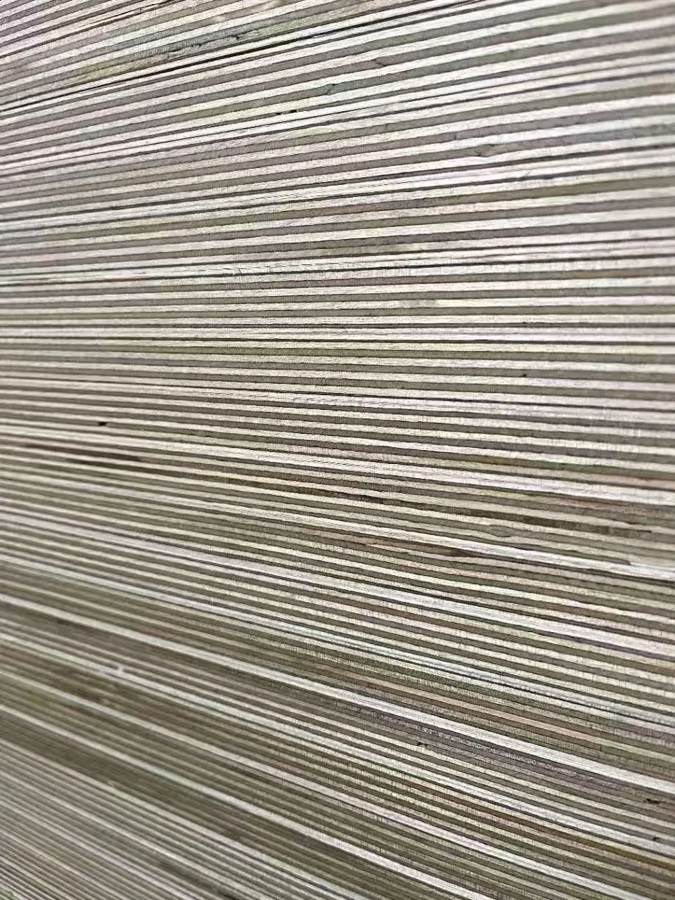 Dense stack of birch plywood edges prepared for batch comparison